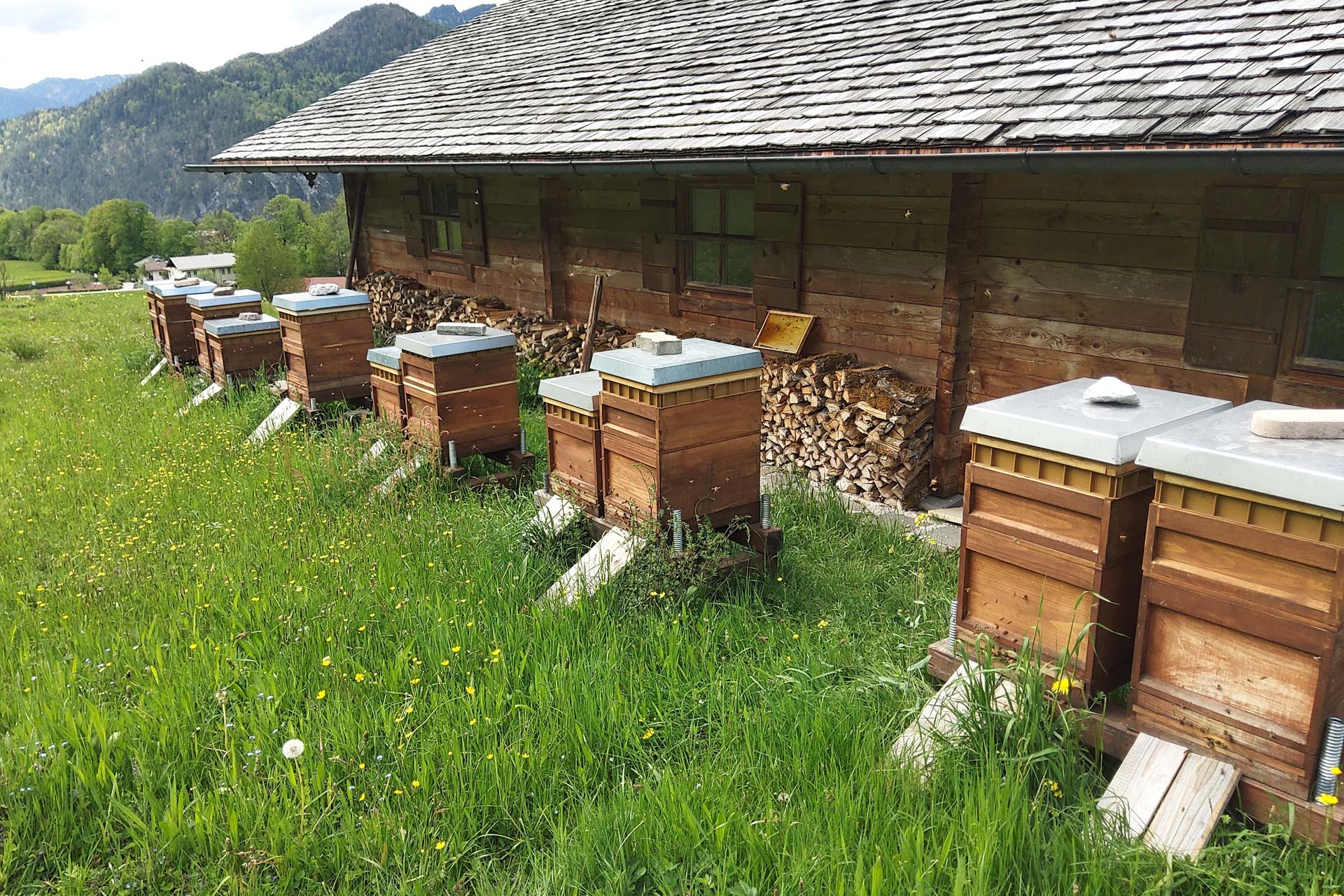 Gebirgsimkerei Kastner